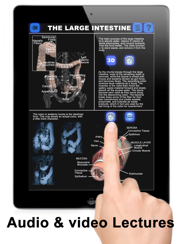 Anatomy 3D: Organs(圖5)-速報App