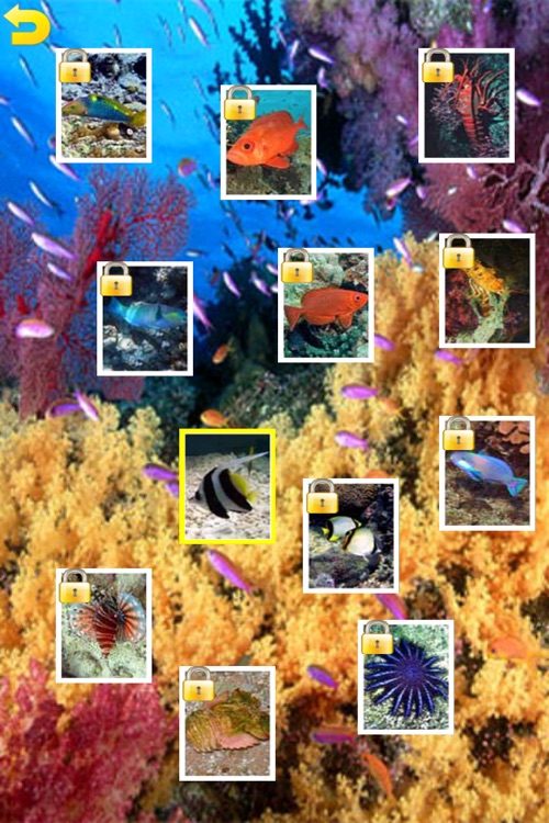 Ocean Puzzle (Worldwide)