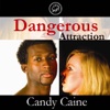 Dangerous Attraction by Candy Caine (Love & Romance Collection)