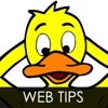 Web design tips guide