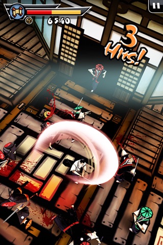 Samurai: Way of the Warrior screenshot 1