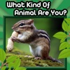 What Kind of Animal Are You? (FREE)