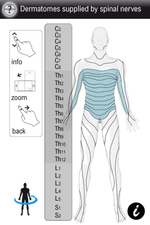 Spinal Vademecum screenshot-4