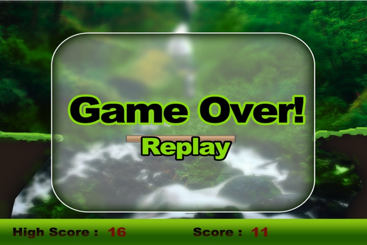 Cheetah Cross Game HD Lite screenshot-4