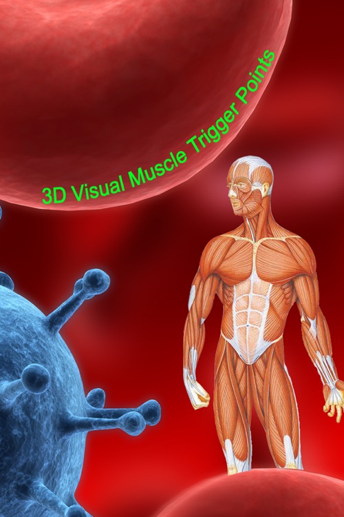 3D Visual Muscle Trigger Points