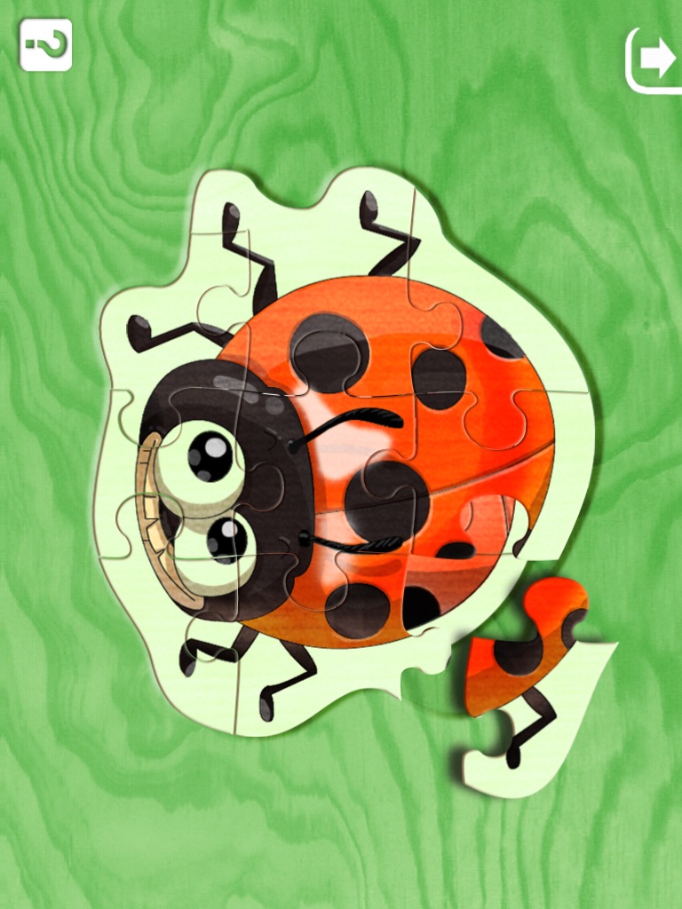 Insect Puzzle HD screenshot 4