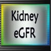 Kidney eGFR Estimator for iPad
