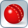 Practice Cricket Pocket Edition