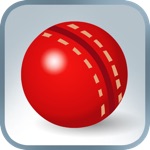 Practice Cricket