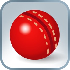 Activities of Practice Cricket