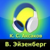 Вальтер Эйзенберг (аудиокнига)