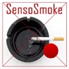 SensoSmoke Lite