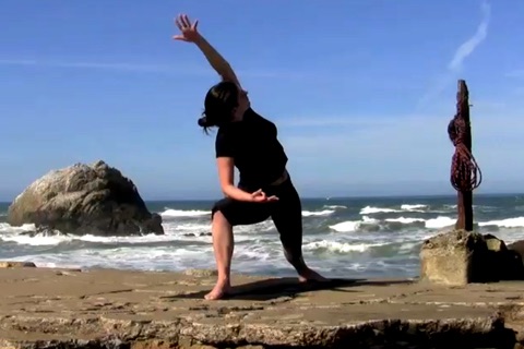 Yoga 101 screenshot-3