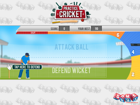 Practice Cricket screenshot 3
