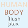 Flash Stax:  Human Body