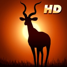 Activities of Deer Hunter: African Safari for iPad
