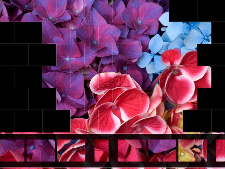 Puzzle Master Flowers HD Free