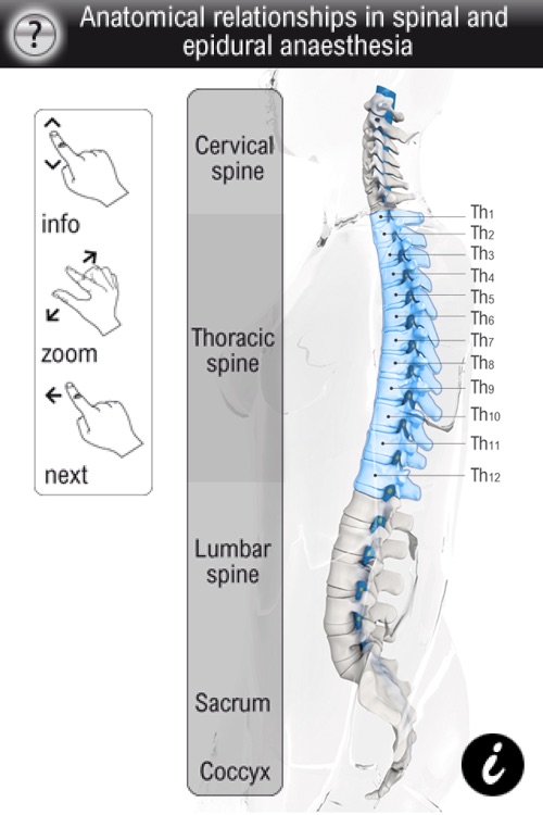 Spinal Vademecum