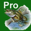 Bass Fishing Guru Pro