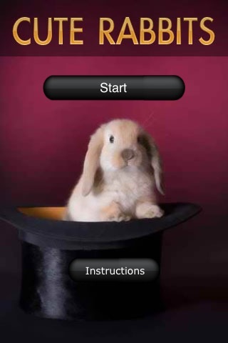 Cute Rabbit Pictures