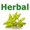 Natural Herbal Cures and Remedies: What Your Doctor Never Told You About