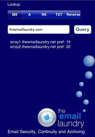 DNS Lookup Tool screenshot 2
