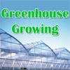 Greenhouse Growing - Growing Plants in Your Own Greenhouse