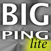 BigPing Lite