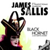 Black Hornet (by James Sallis)