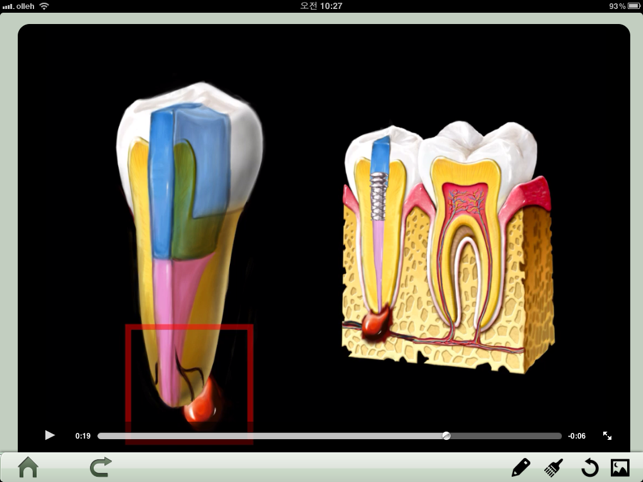 Dental iClinic lite(圖3)-速報App