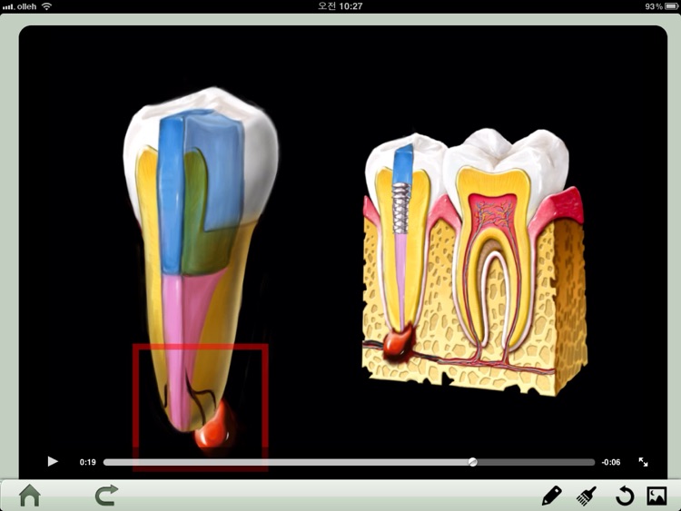 Dental iClinic lite