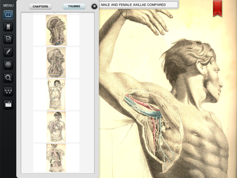 Surgical Anatomy - Student Edition screenshot 3