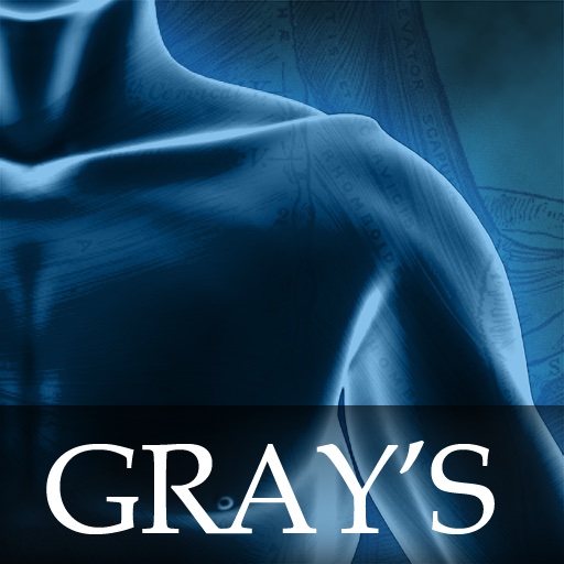 Gray's Anatomy 2011
