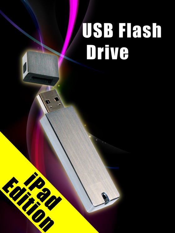 USB Flash Drive for iPad