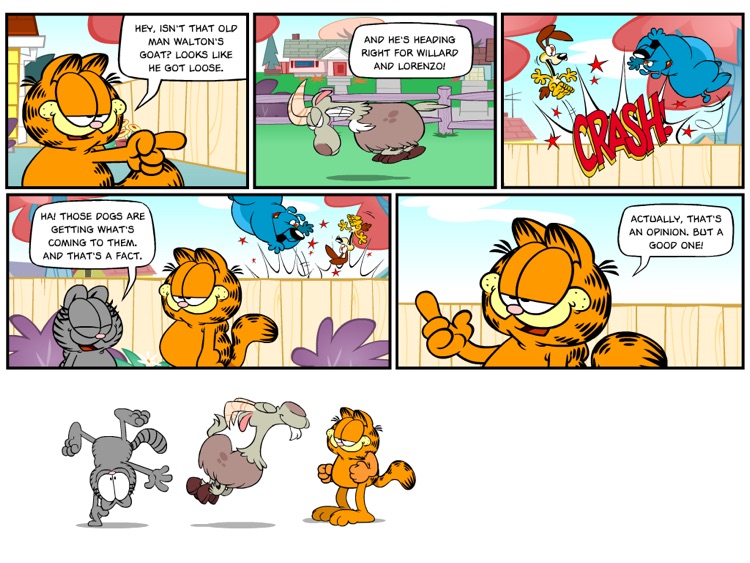 Professor Garfield Fact or Opinion