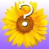 Flower Quiz for iPad