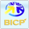BICP (Free Version)
