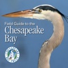 Chesapeake Bay Field Guide