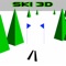 Ski through the computer forest and through flags to earn points