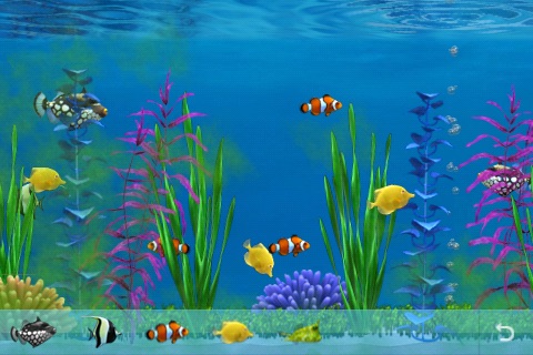 Colorful Aquarium Lite screenshot-3