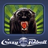 Crazy Pinball Jungle