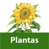 Plantas y flores. Enciclopedia Visual de las Preguntas