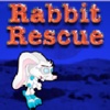 Cyber Rabbit Rescue