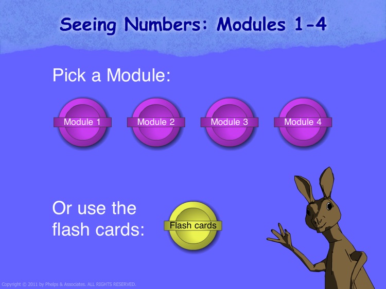 Seeing Numbers, Set 1