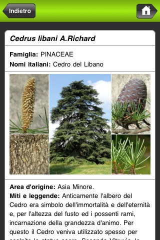 Le piante raccontano. Miti e leggende screenshot-3