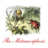 The Metamorphosis ,Franz Kafka