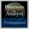 Business Analyst Handbook (Professional Edition)