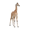 Tiny Giraffe