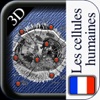 3D Les Cellules Humaines