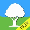 Pocket Forest Free